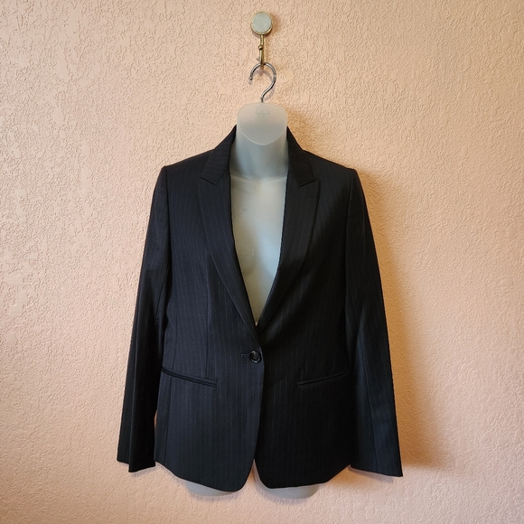 Theory Luxe Gray Pinstripe Single Breast Wool Blend Blazer Suit Jacket - Picture 1 of 8